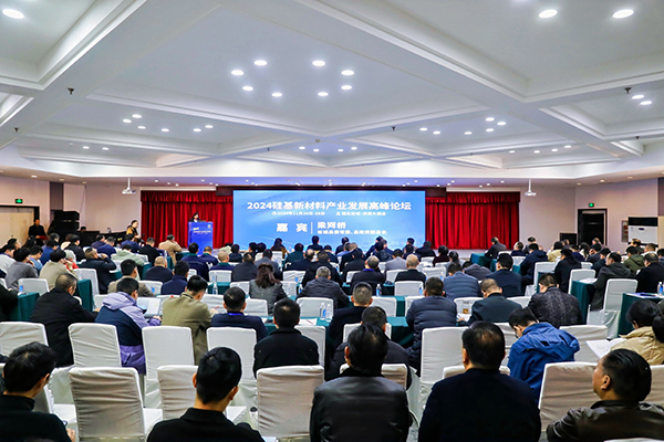 頂立科技參加硅基新材料高峰論壇，分享高純石英制備熱工裝備最新技術(shù) (2).jpg
